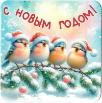 54353М, С новым годом!
Код цены 1